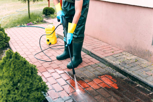 Best Solar Panel Cleaning  in Town Creek, AL