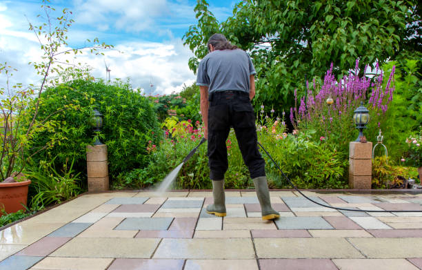 Best Animal Enclosure Cleaning  in Town Creek, AL